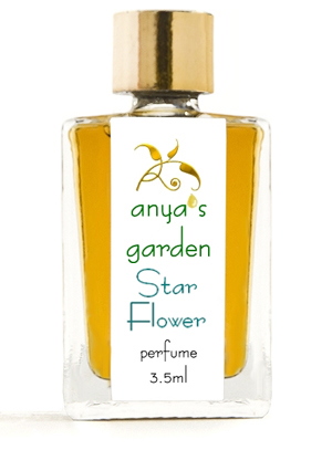 Star Flower Anya's Garden — аромат