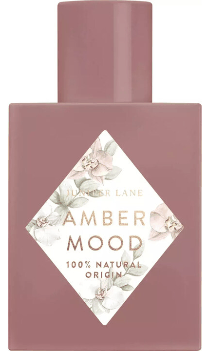 Amber Mood Nature Blossom — аромат