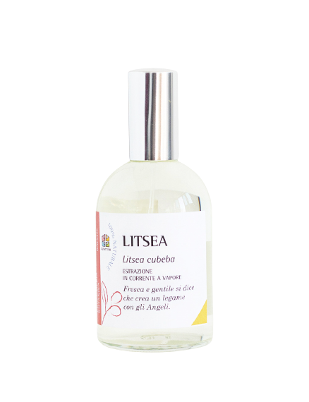 Litsea Olfattiva — аромат