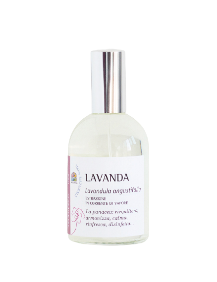 Lavanda Olfattiva — аромат
