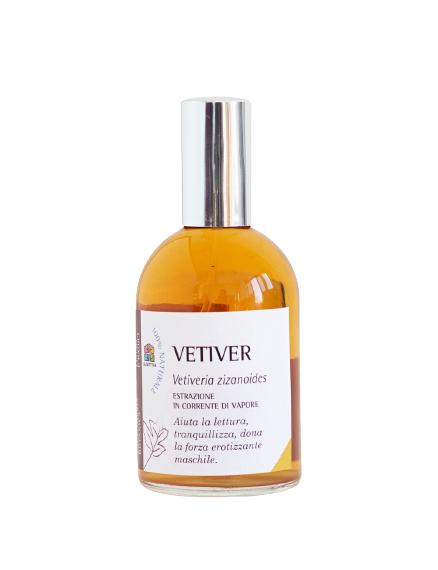 Vetiver Olfattiva — аромат