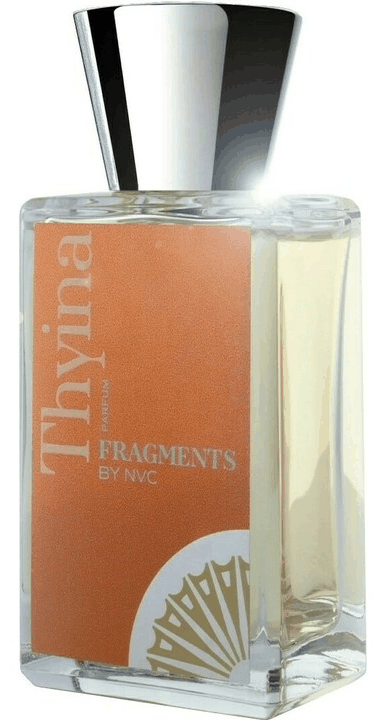 Thyina Fragments by NVC — аромат