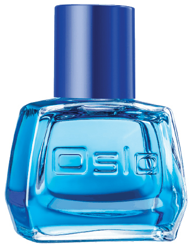 Oslo Instinct Avon — аромат