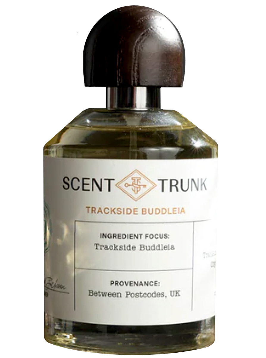 Trackside Buddleia Scent Trunk — аромат