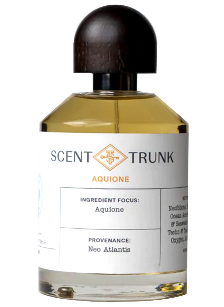 Aquione Scent Trunk — аромат