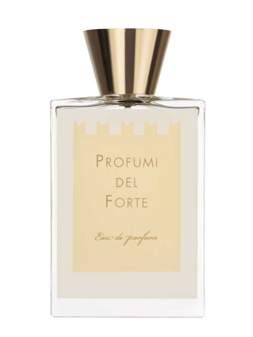 Ambra Mediterranea (Versilia Vintage Ambra Mediterranea) Profumi del Forte — аромат