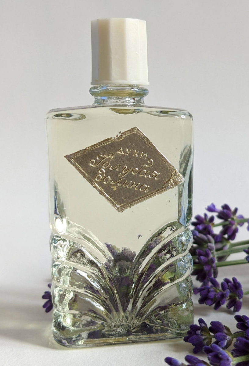 Голубая долина (Blue valley) Crimean rose – Крымская роза — аромат