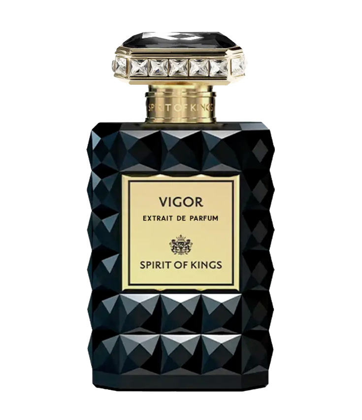 Vigor Spirit Of Kings — аромат