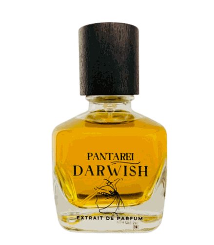 PantaRei Darwish PantaRei — аромат