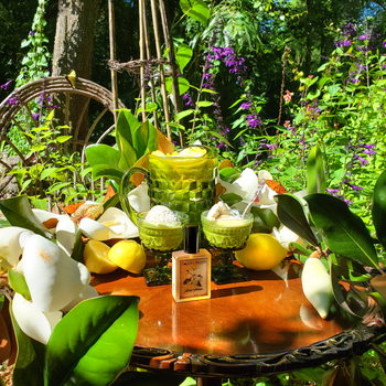 Solstice Magnolia Solstice Scents — аромат