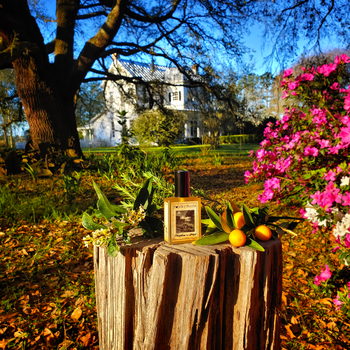 Farmhouse In Spring Solstice Scents — аромат