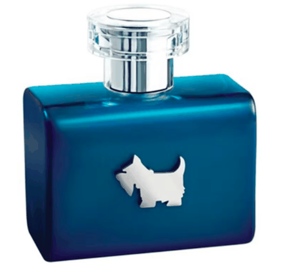 Terrier Blue Ferrioni — аромат