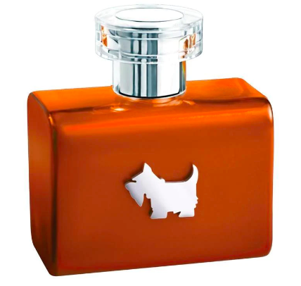 Terrier Orange Ferrioni — аромат