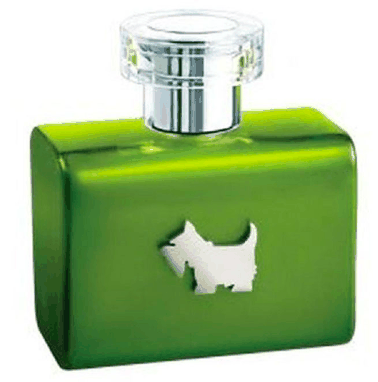 Terrier Be Green Ferrioni — аромат
