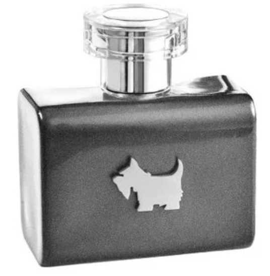 Terrier Grey Ferrioni — аромат