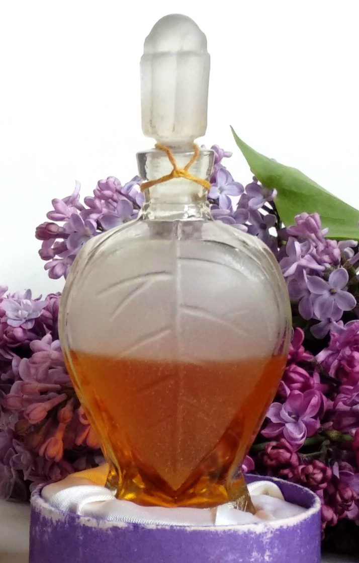 Rīgas cēriņi (Рижская сирень) Dzintars — аромат