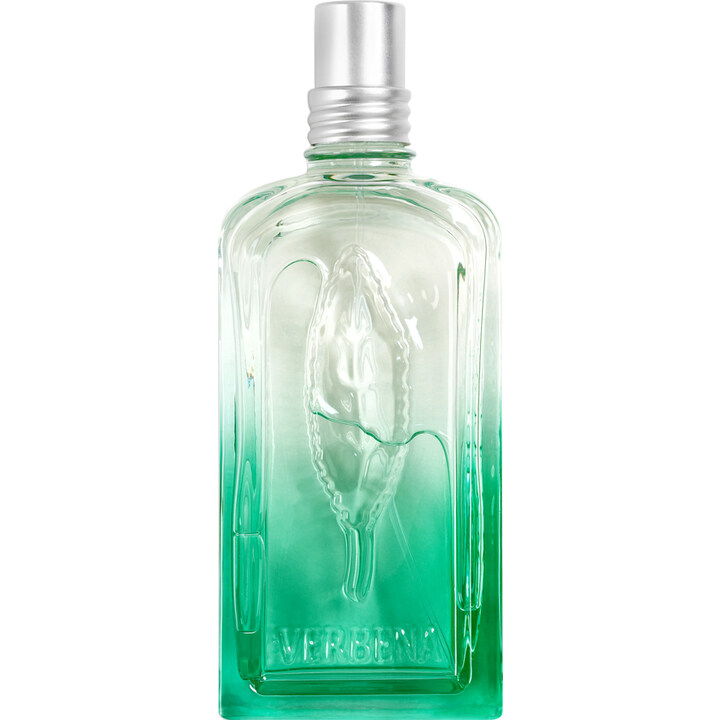 Verveine Fleur de Carotte L'Occitane en Provence — аромат