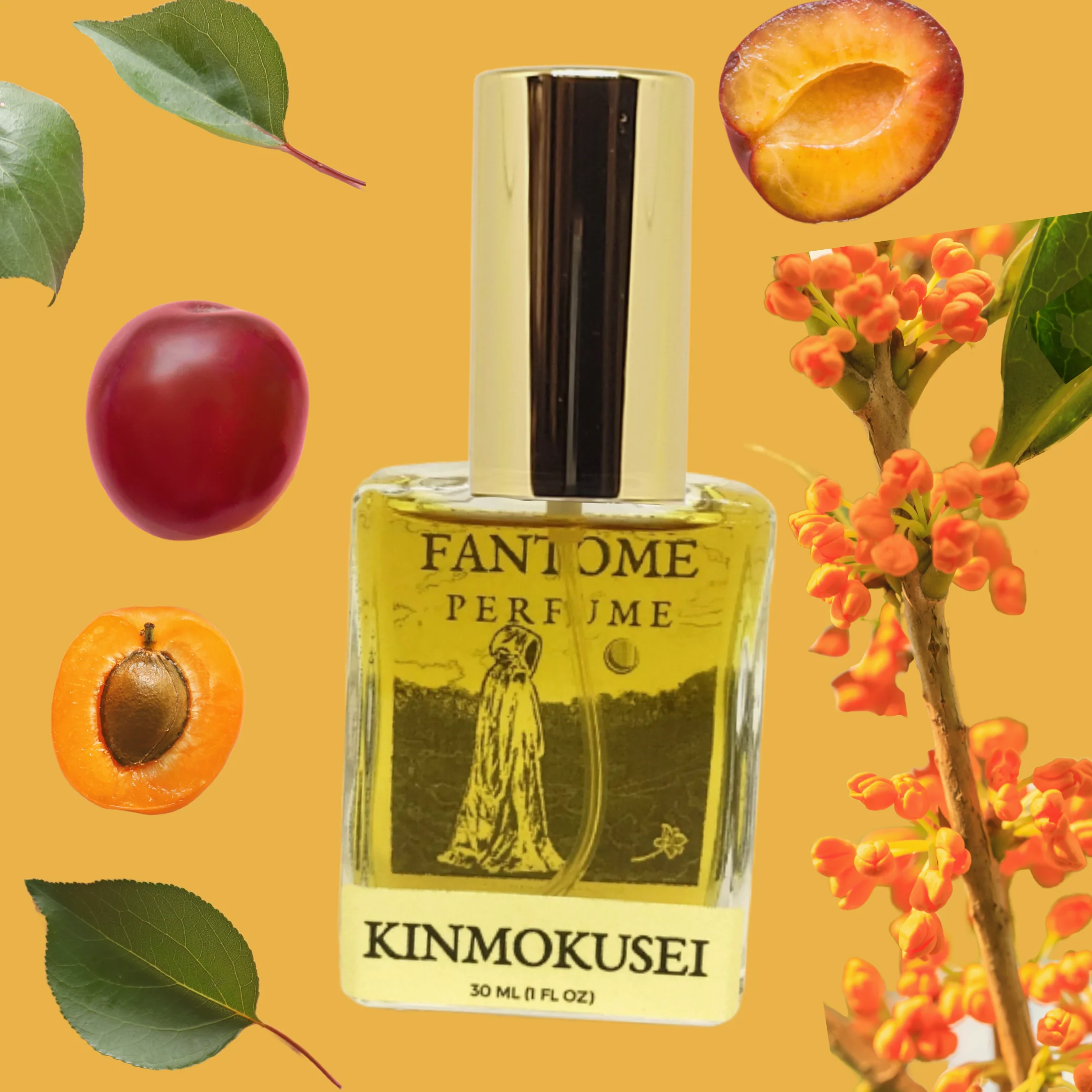 Kinmokusei Fantôme — аромат