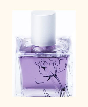 Sands of Morocco Infusion Organique — аромат