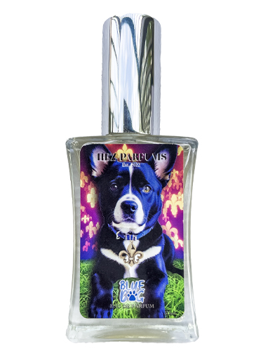 Blue Dog Hez Parfums — аромат