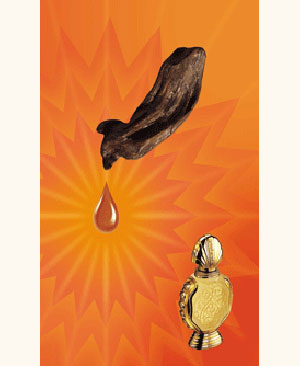 Shatha Al Oudh Rasasi — аромат