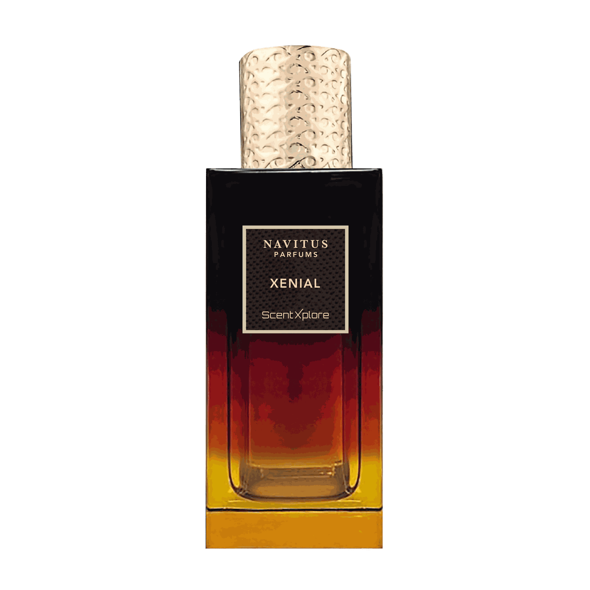 Xenial Navitus Parfums — аромат