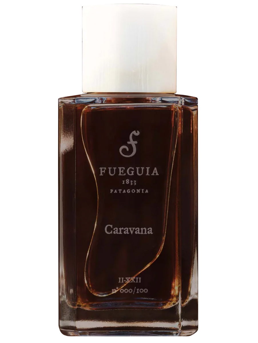 Caravana Fueguia 1833