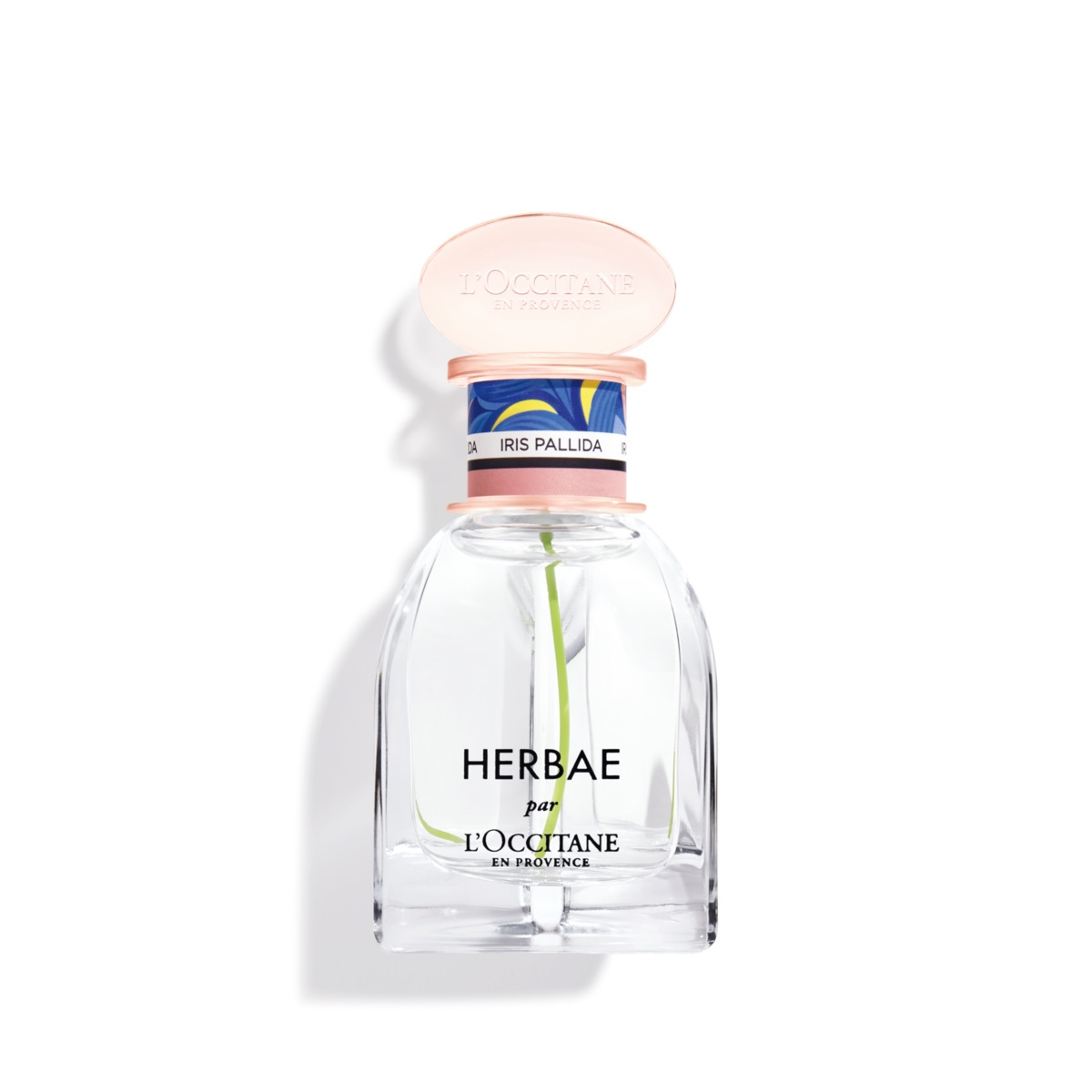 Herbae Iris Pallida L'Occitane en Provence — аромат