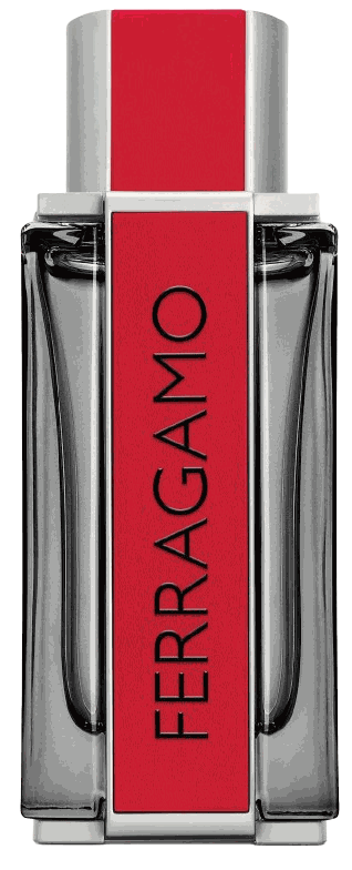 Ferragamo Red Leather Salvatore Ferragamo