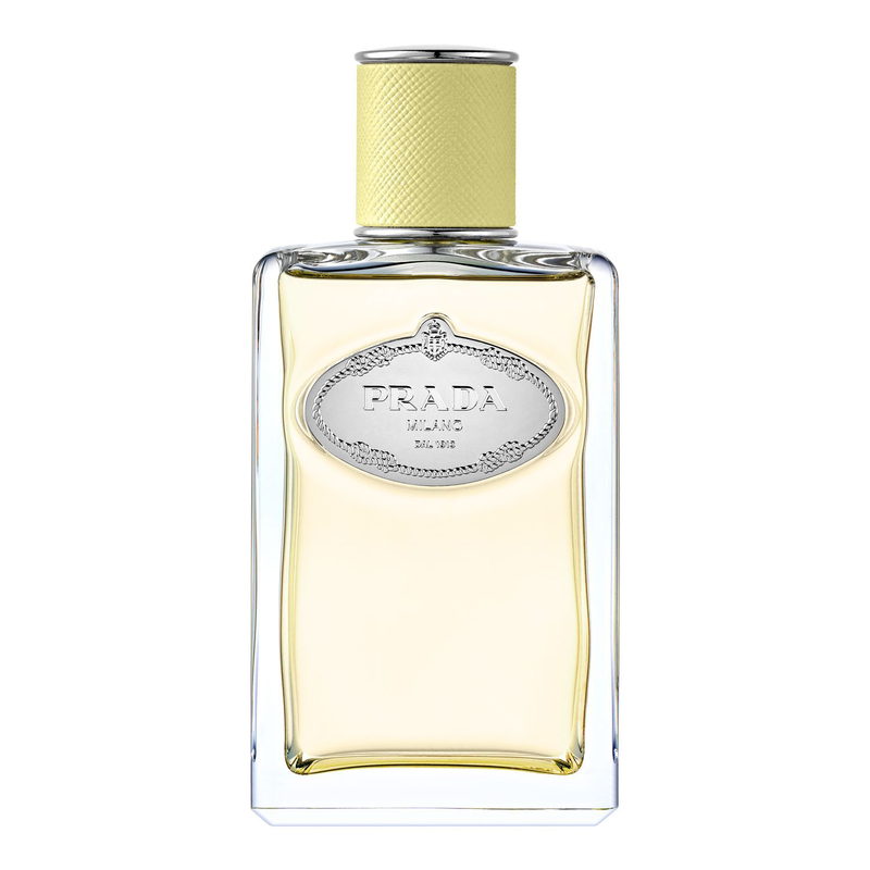 Infusion de Gingembre Prada