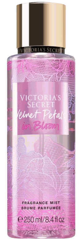 Velvet Petals in Bloom Victoria's Secret — аромат