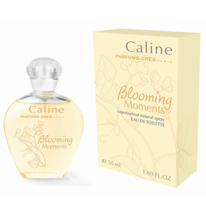 Caline Blooming Moments Grès — аромат