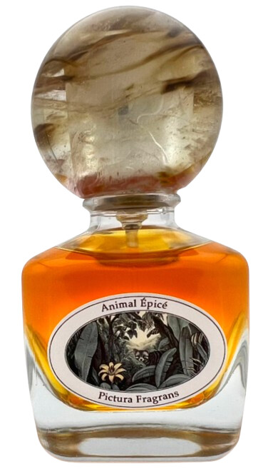 Animal Épicé Pictura Fragrans — аромат