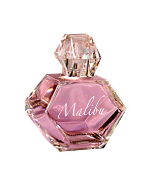 Malibu Night Pamela Anderson — аромат