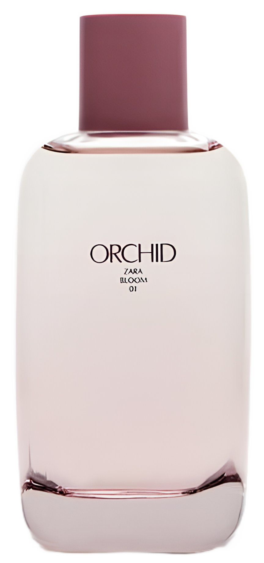 Orchid Bloom 01 Zara — аромат