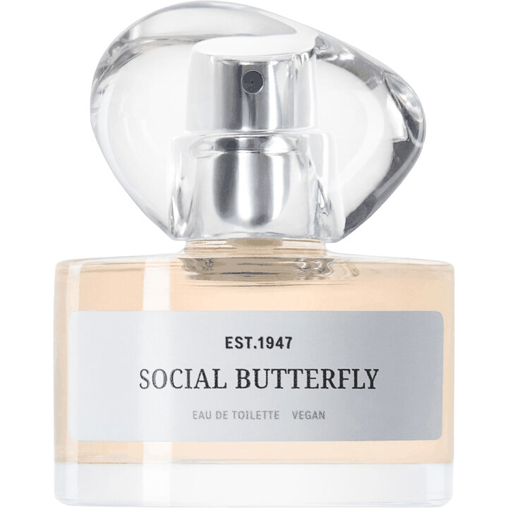 Social Butterfly H&M — аромат