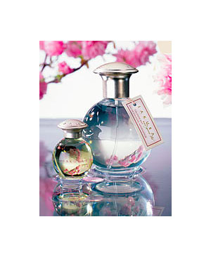 Sakura and Green Tea TerraNova