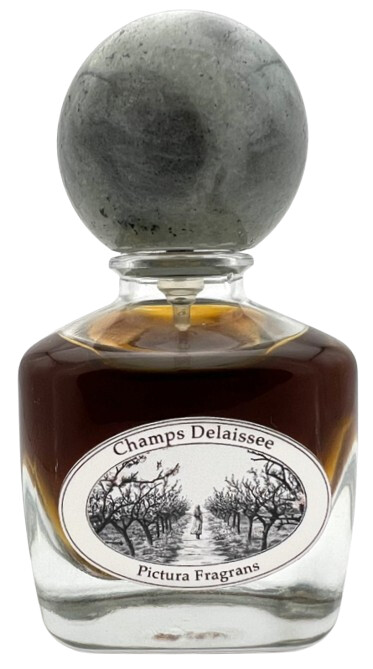 Champs Délaissée Pictura Fragrans — аромат