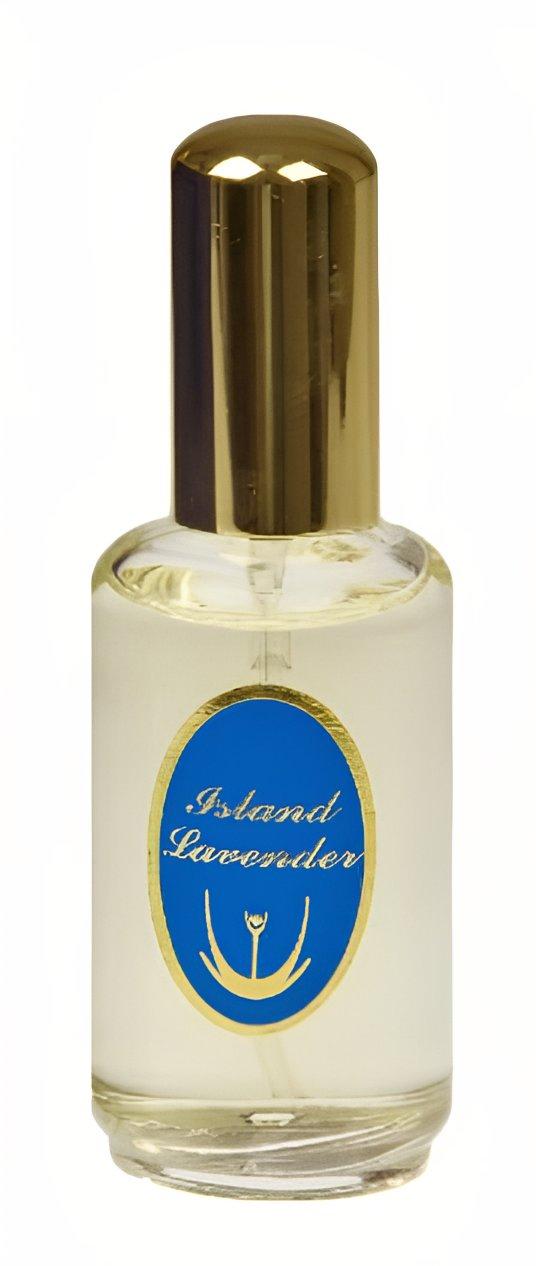 Island Lavender Caldey — аромат