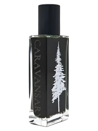Caravansary Pineward Perfumes — аромат