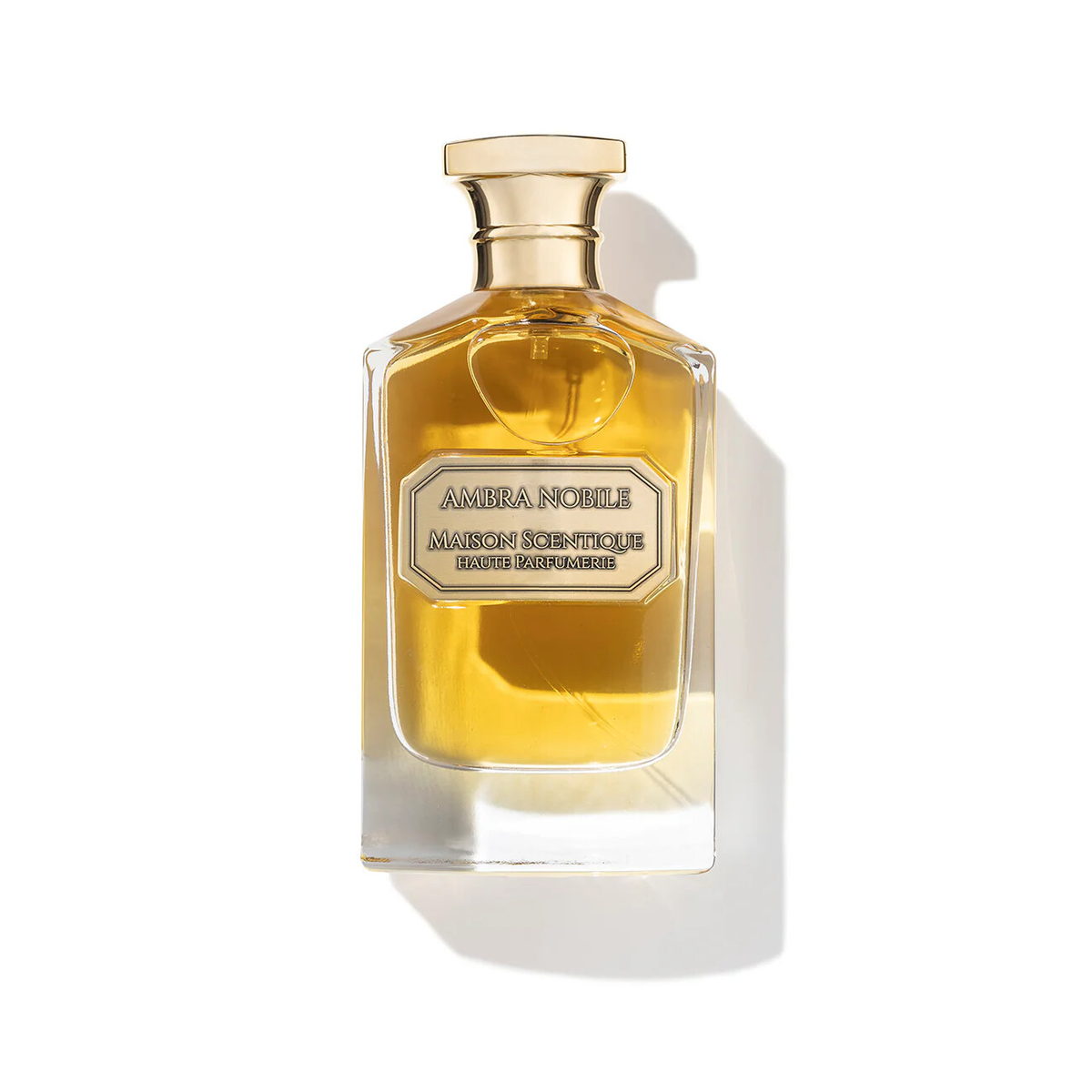 Ambra Nobile Maison Scentique — аромат