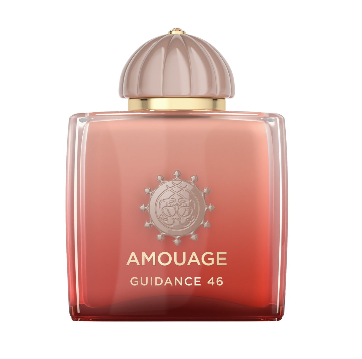Guidance 46 Amouage — аромат