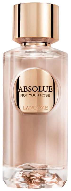 Absolue Not Your Rose Lancôme — аромат