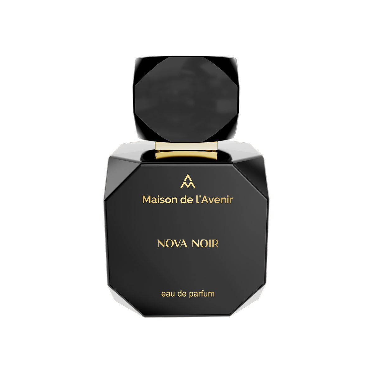 Nova Noir Maison de l'Avenir — аромат