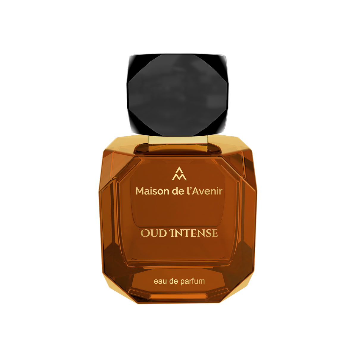 Oud Intense Maison de l'Avenir — аромат