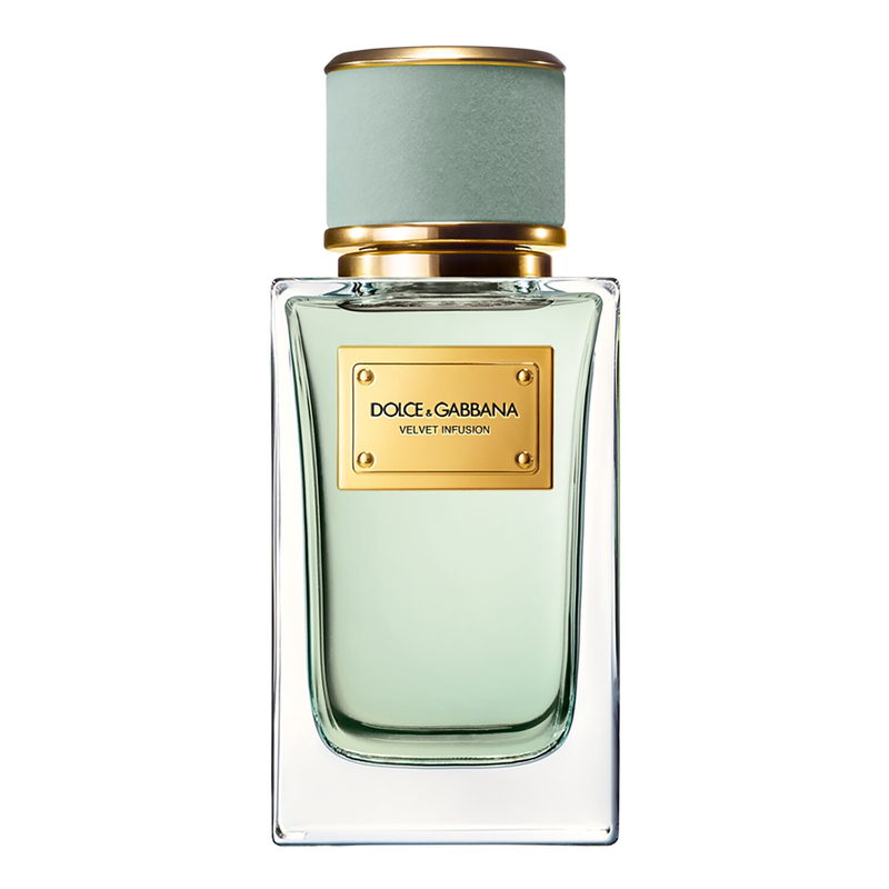Velvet Infusion Dolce&Gabbana — аромат