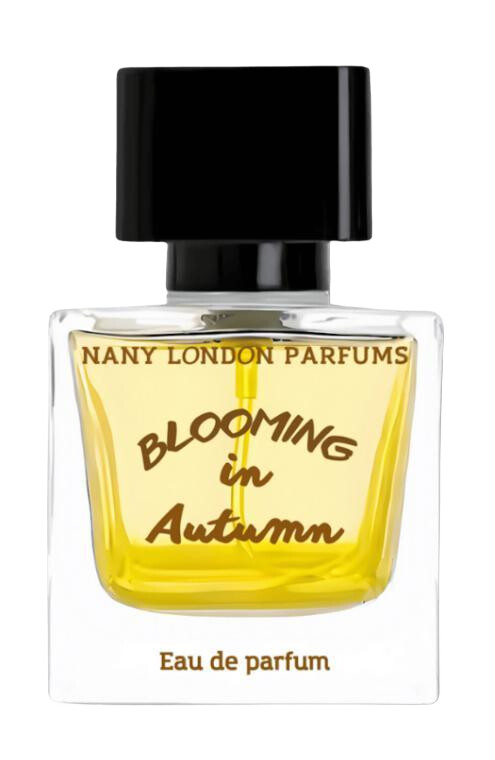 Blooming in Autumn Nany London Parfums — аромат