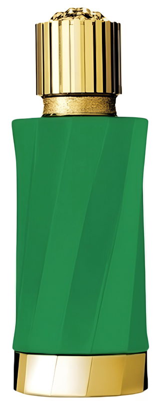 Patchouli Précieux Versace — аромат